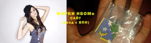 соль ск Надым