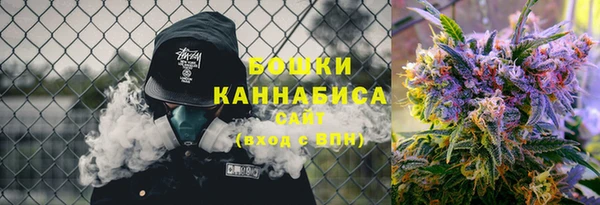 винт Нея