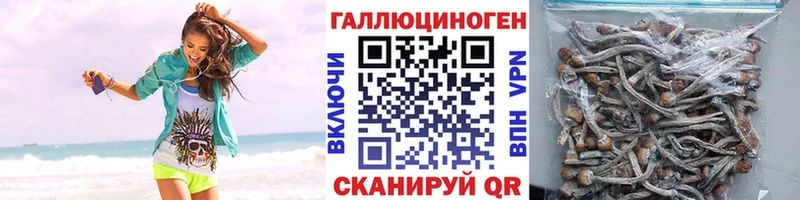 сайты даркнета как зайти  где можно купить наркотик  Новосиль  Галлюциногенные грибы Magic Shrooms 