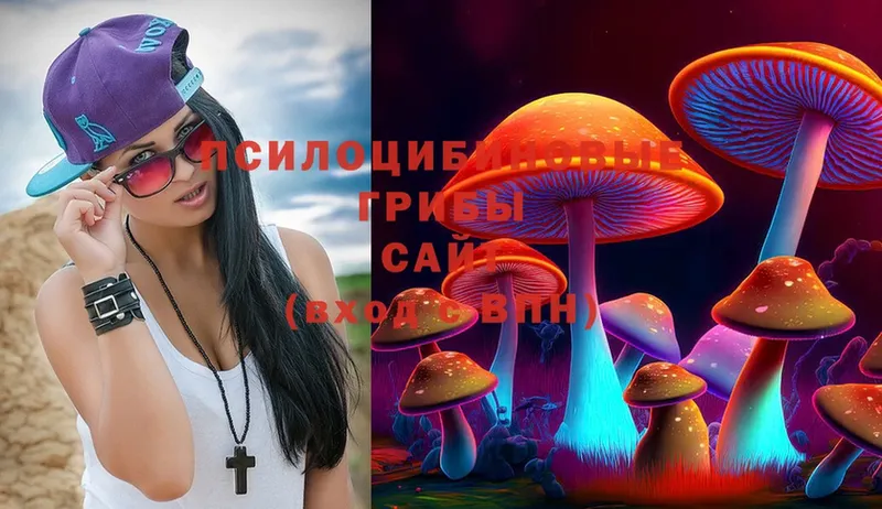 Галлюциногенные грибы Psilocybe  Новосиль 